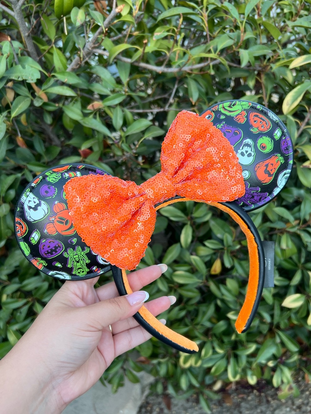 Disneyland Park Halloween Ears